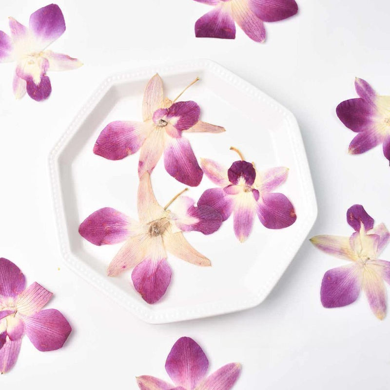 Resin Art Baby - 4 adet, Gerçek Preslenmiş Kelebek Orkide