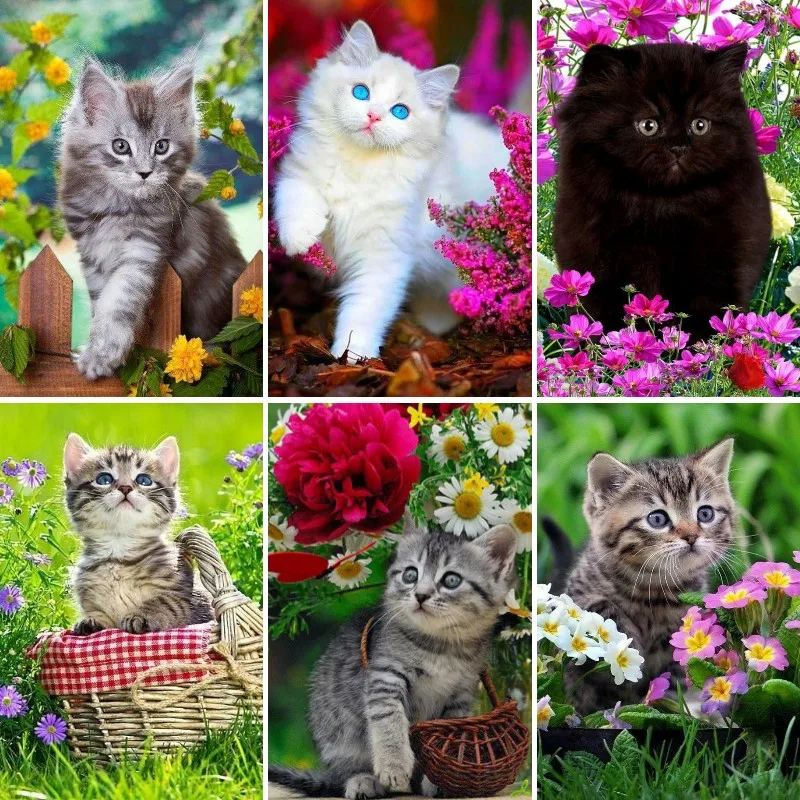 DIY 5D elmas boyama kitleri be - Resin Art Baby incelemesi ve fiyatı