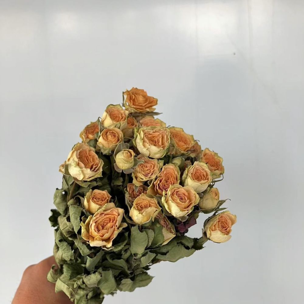 Gerçek, Kurutulmuş ve Korunmuş - Resin Art Rose incelemesi ve fiyatı