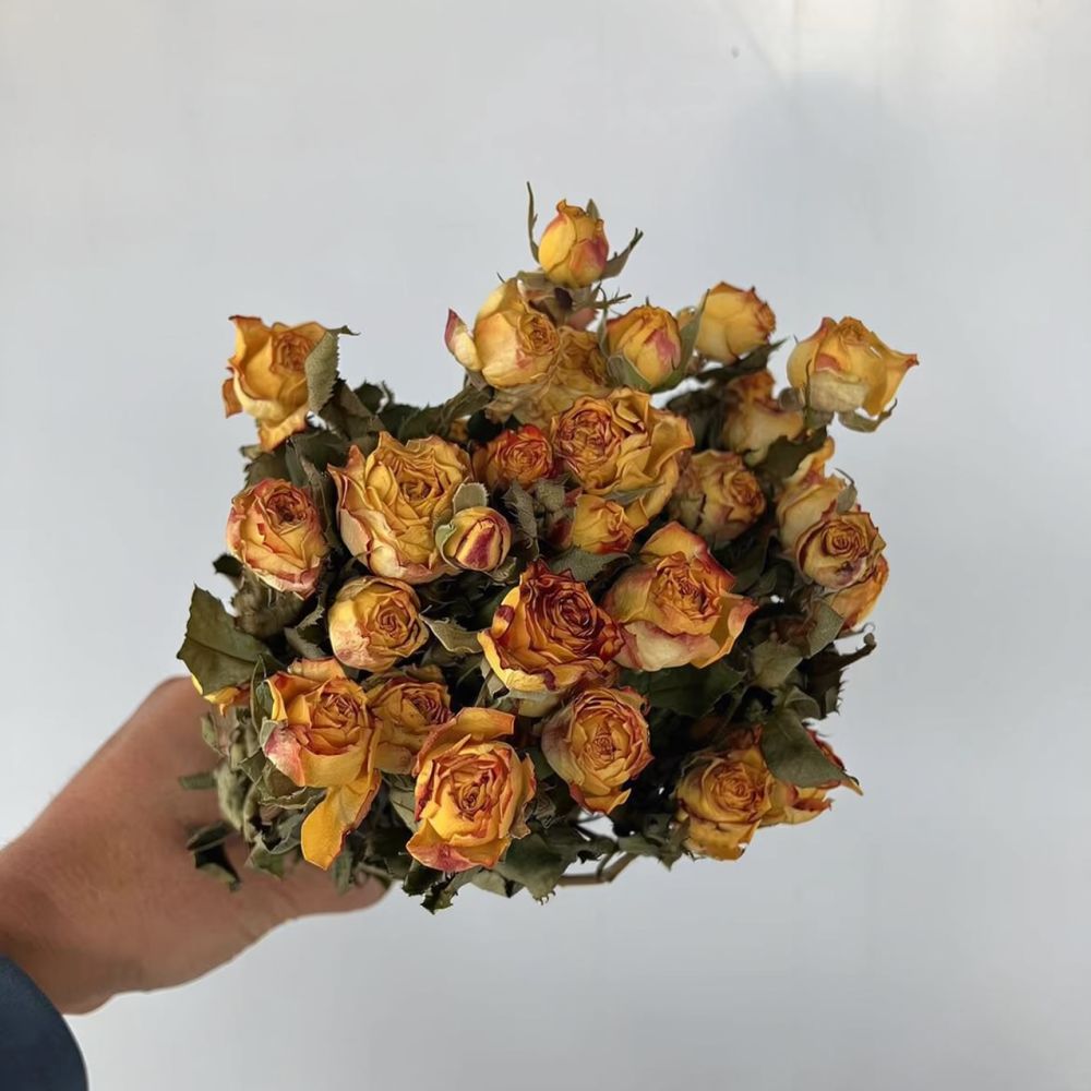 Gerçek, Kurutulmuş ve Korunmuş - Resin Art Rose incelemesi ve fiyatı